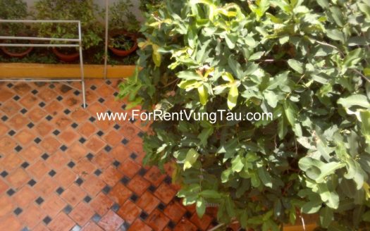 5 BEDROOMS VILLA FOR RENT IN XO VIET NGHE TINH STREET, VUNG TAU CITY B62