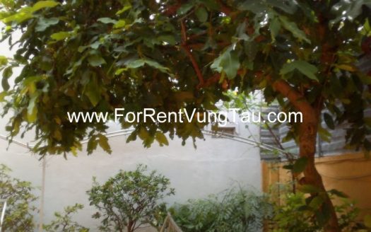 5 BEDROOMS VILLA FOR RENT IN XO VIET NGHE TINH STREET, VUNG TAU CITY B62