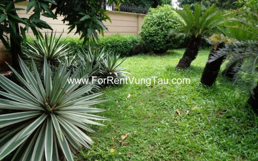 MAGNIFICENT VILLA FOR RENT IN VUNG TAU CITY B140