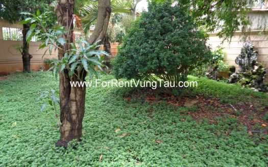 MAGNIFICENT VILLA FOR RENT IN VUNG TAU CITY B140