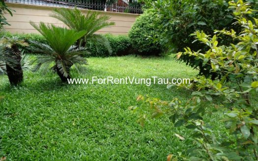 MAGNIFICENT VILLA FOR RENT IN VUNG TAU CITY B140