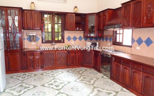 MAGNIFICENT VILLA FOR RENT IN VUNG TAU CITY B140