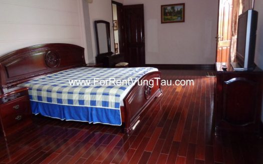 MAGNIFICENT VILLA FOR RENT IN VUNG TAU CITY B140