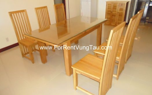 SEAVIEW APARTMENT FOR LEASE BACK BEACH AREA, VUNG TAU CITY B117