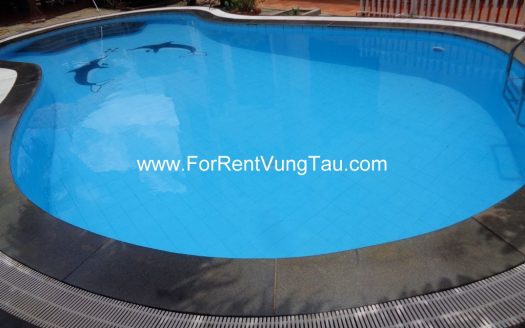LUXURY SEA VILLA FOR LEASE VUNG TAU AT BACK BEACH B163