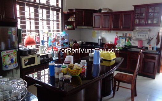 LUXURY SEA VILLA FOR LEASE VUNG TAU AT BACK BEACH B163