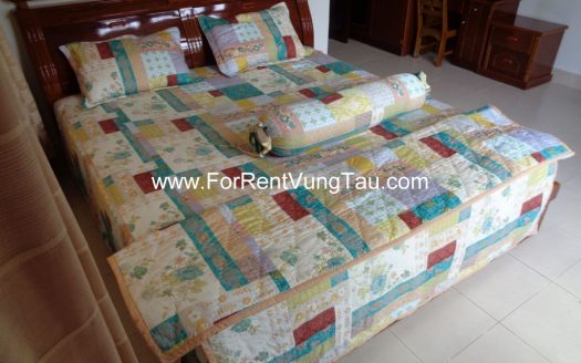 LUXURY SEA VILLA FOR LEASE VUNG TAU AT BACK BEACH B163