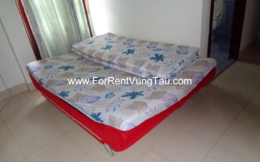 LUXURY SEA VILLA FOR LEASE VUNG TAU AT BACK BEACH B163