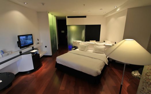 MAGNIFICENT VILLA FOR RENT IN VUNG TAU CITY B140