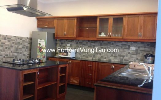 FRANCE STYLE VILLA FOR RENT IN VUNG TAU B194