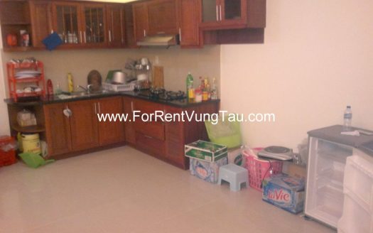 SON THINH 9 APT VUNG TAU FOR LEASE B146