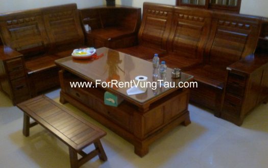 SON THINH 9 APT VUNG TAU FOR LEASE B146