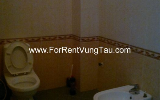 MINI VILLA RENTAL IN VUNG TAU CITY B149