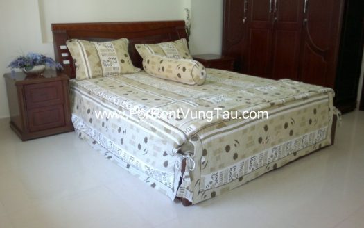 LUXURY, QUIET, COZY VILLA RENTAL VUNG TAU B173