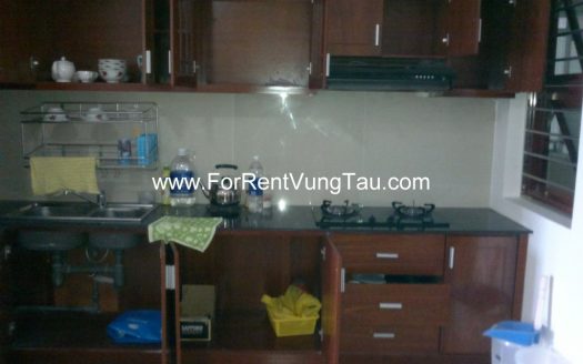 SEA AND MOUNTAIN VIEW APTS RENTAL IN VUNG TAU B77