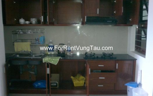 SEA AND MOUNTAIN VIEW APTS RENTAL IN VUNG TAU B77