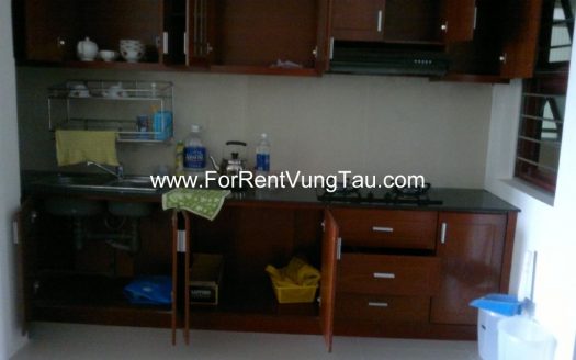 SEA AND MOUNTAIN VIEW APTS RENTAL IN VUNG TAU B77