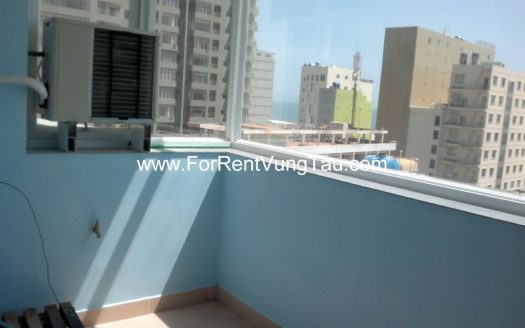 145 PHAN CHU TRINH APARTMENT LONG TEAM RENTAL B16