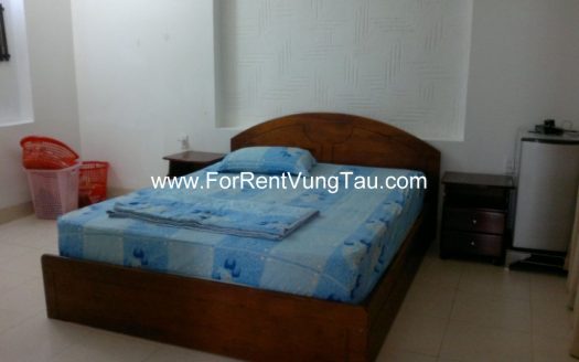 MINI VILLA FOR RENT IN VUNG TAU B200