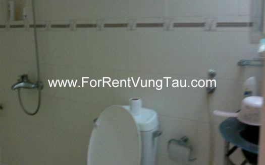 MINI VILLA FOR RENT IN VUNG TAU B200