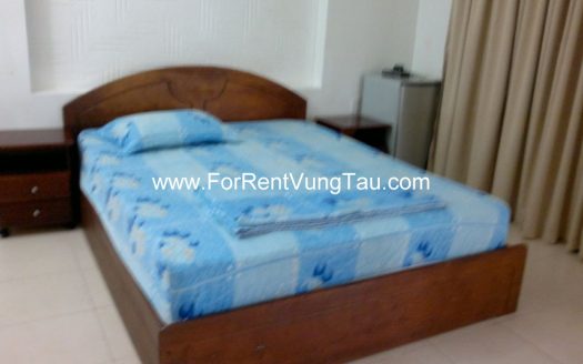 MINI VILLA FOR RENT IN VUNG TAU B200