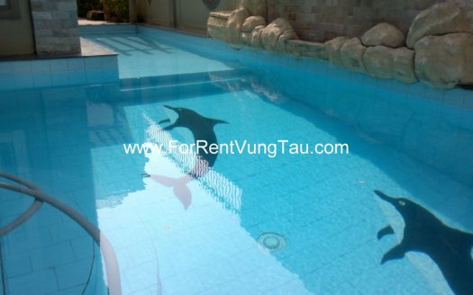DELUXE VILLA RENTAL IN BACK BEACH VUNG TAU B6