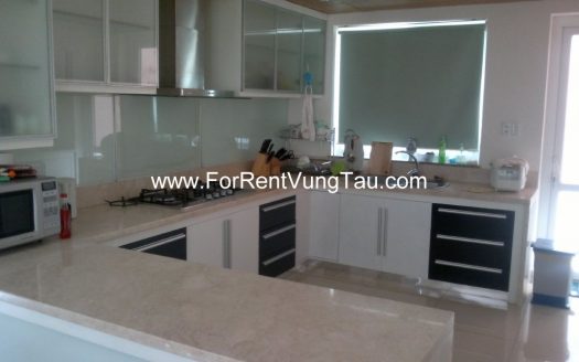 COMFORTABLE VILLA FOR RENT IN BACK BEACH VUNG TAU B177
