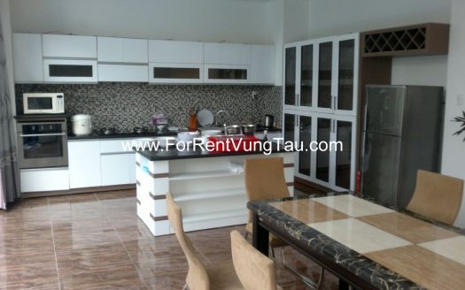 VILLA FOR RENT IN DOI SU HILL VUNG TAU B110