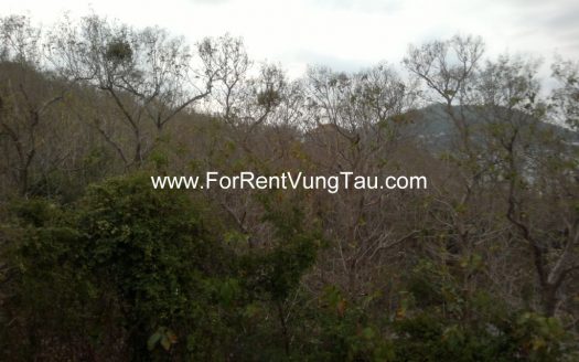 VILLA FOR RENT IN DOI SU HILL VUNG TAU B110