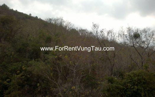VILLA FOR RENT IN DOI SU HILL VUNG TAU B110