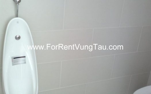 VILLA FOR RENT IN DOI SU HILL VUNG TAU B110