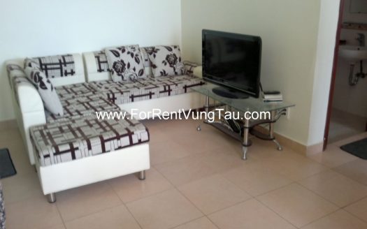 SEAVIEW 1-3 BEDROOM FOR LEASE IN BACK BEACH VUNG TAU B202