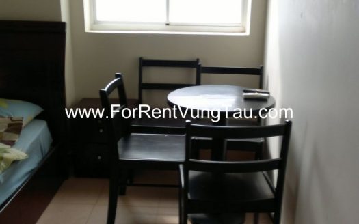 SEAVIEW 1-3 BEDROOM FOR LEASE IN BACK BEACH VUNG TAU B202