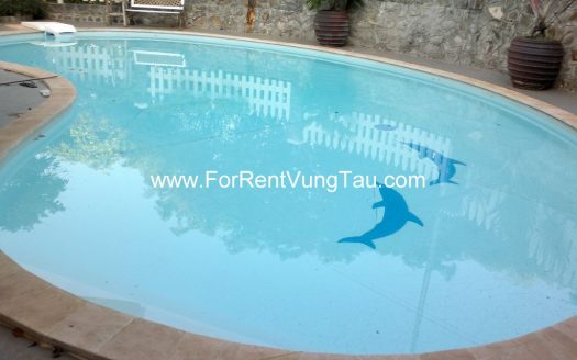 FRONT BEACH HILL VILLA FOR RENT IN VUNG TAU B66