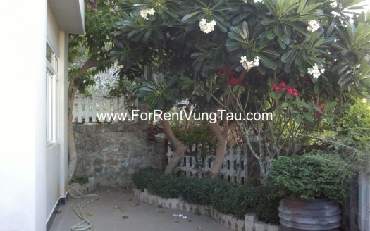 FRONT BEACH HILL VILLA FOR RENT IN VUNG TAU B66