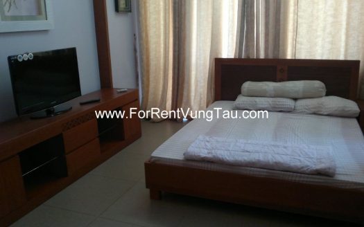 FRONT BEACH HILL VILLA FOR RENT IN VUNG TAU B66