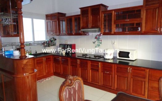 SUPER LUXURY VILLA FOR LEASE IN VUNG TAU B179