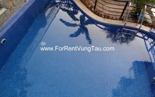 SUPER LUXURY VILLA FOR LEASE IN VUNG TAU B179