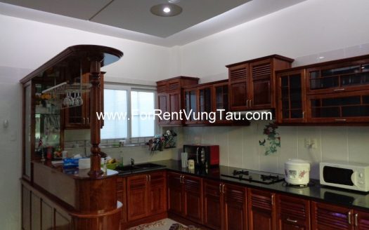 SUPER LUXURY VILLA FOR LEASE IN VUNG TAU B179