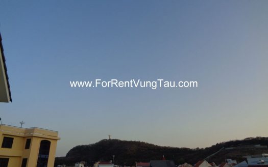 SUPER LUXURY VILLA FOR LEASE IN VUNG TAU B179