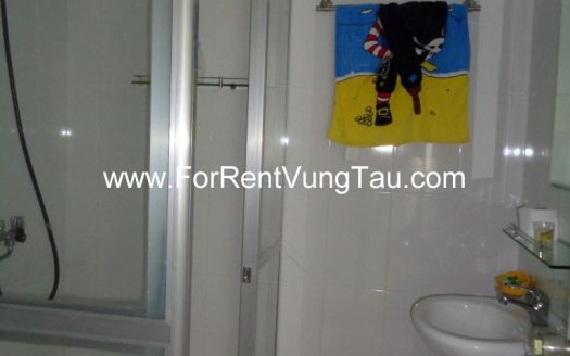 FRANCE VILLA HAS GARDEN FOR RENT IN VUNGTAU B50