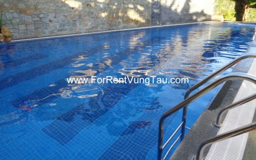 DOI SU SUPER VILLA FOR RENT IN VUNG TAU B185