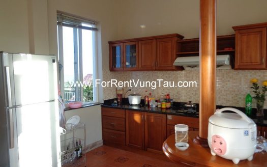 DOI SU SUPER VILLA FOR RENT IN VUNG TAU B185