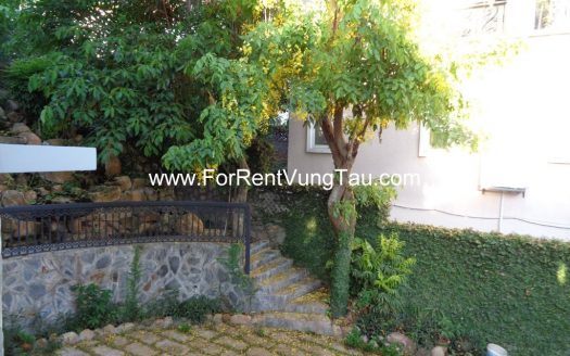 DOI SU SUPER VILLA FOR RENT IN VUNG TAU B185