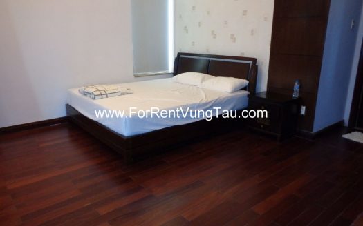 DOI SU SUPER VILLA FOR RENT IN VUNG TAU B185