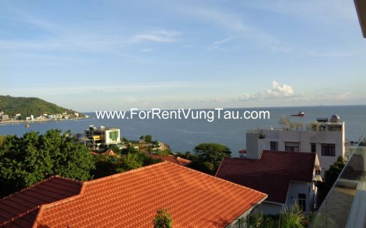 DOI SU SUPER VILLA FOR RENT IN VUNG TAU B185