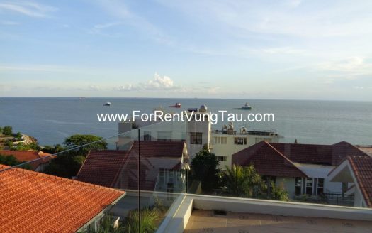 DOI SU SUPER VILLA FOR RENT IN VUNG TAU B185