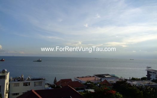 DOI SU SUPER VILLA FOR RENT IN VUNG TAU B185