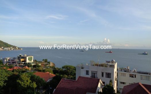 DOI SU SUPER VILLA FOR RENT IN VUNG TAU B185