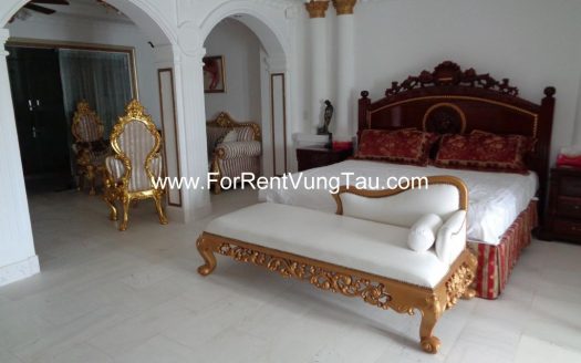 SPLENDID VILLA FOR RENT/SALE IN VUNG TAU VIETNAM B86